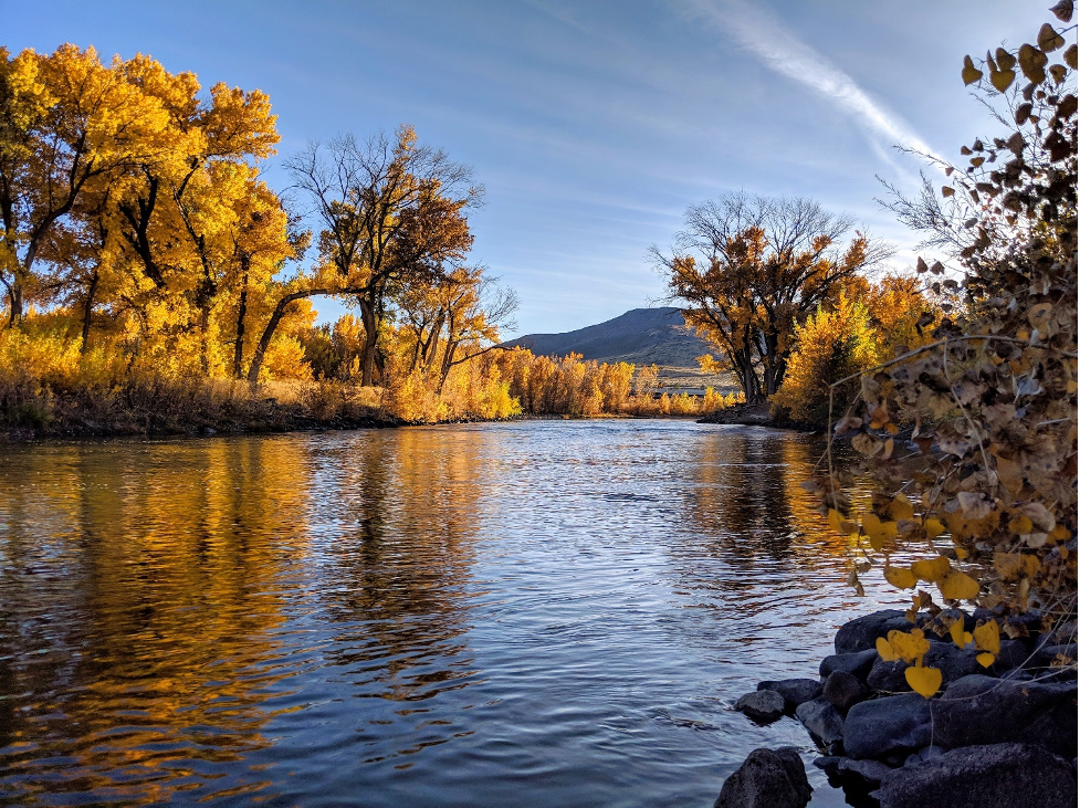 Fall colors on the Truckee River, Storey County, Nevada.