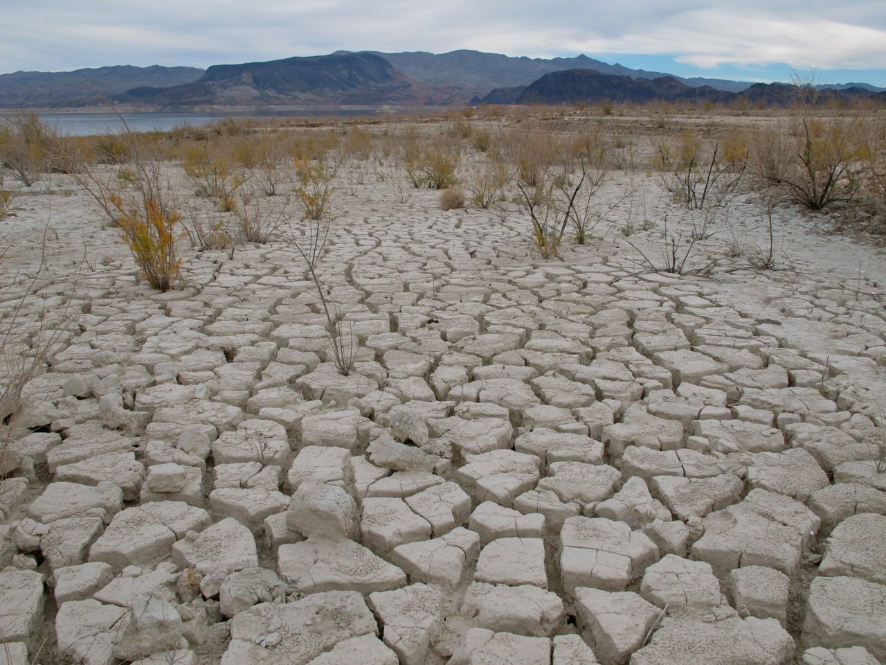 Lake Mead