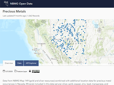 Thumbnail image of a streaming layer available through the NBMG Open Data site