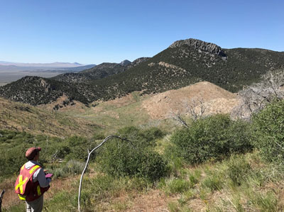 NBMG geologic mapper in northeast Nevada.