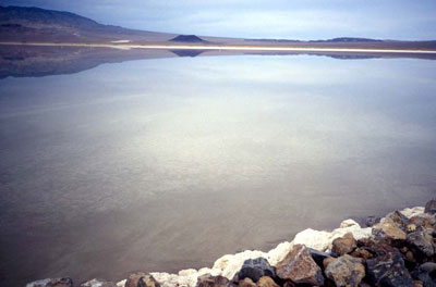 Cinder Cone