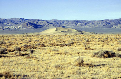 Sand Dune in Clayton Valley