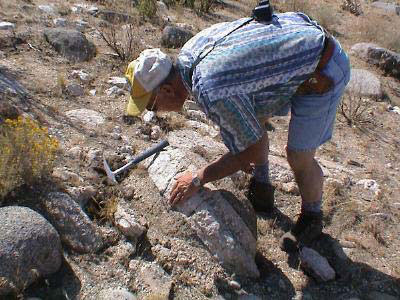 Warm Springs Mountain Dike Swarm