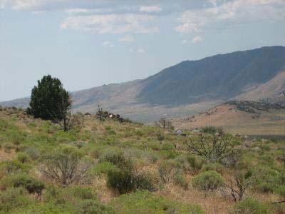 Warm Springs Mountain Dike Swarm