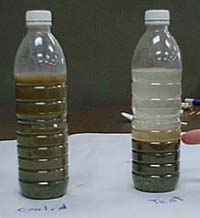 Dirty Water Student experiment control and test bottles at time 30 seconds second observation